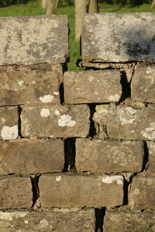 Stone Wall Repair in Chandler, AZ